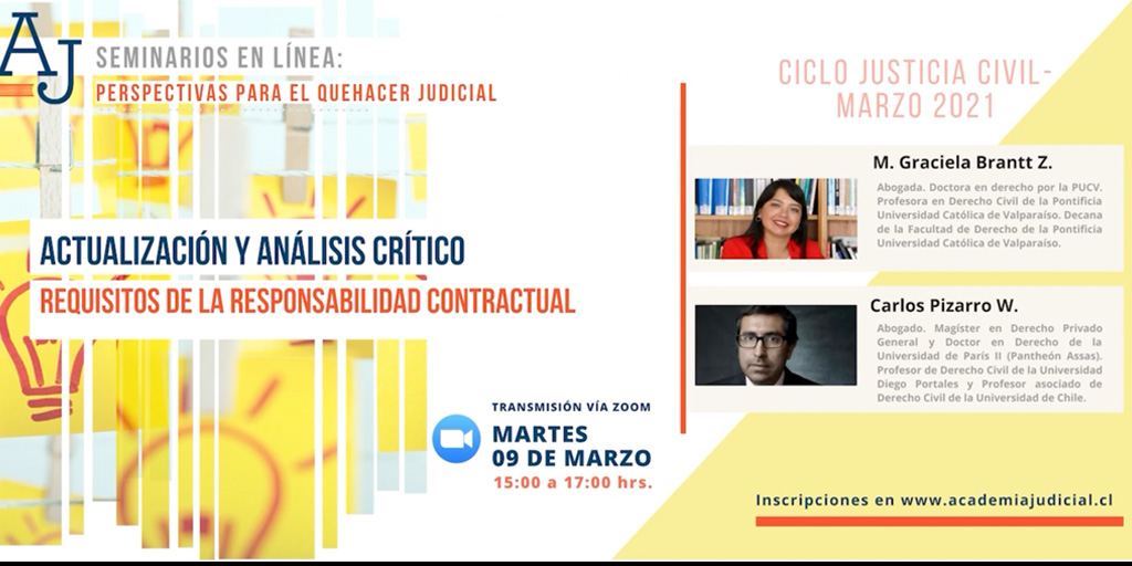 Responsabilidad contractual y remedios contractuales / M. Graciela Brantt y Carlos Pizarro / Derecho Civil
