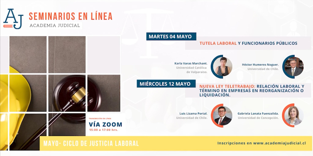 Tutela laboral y funcionarios públicos / Karla Varas y Héctor Humeres / Derecho laboral