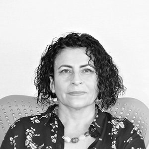 Cristina Villarreal Holtshamp
