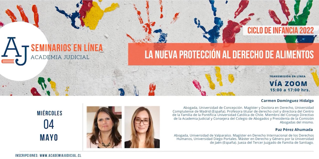La nueva protección al derecho de alimentos / Carmen Domínguez y Paz Perez / Derecho de familia, Infancia, Derecho Civil