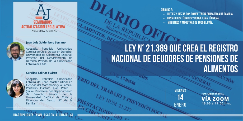 Ley n°21.389 crea registro nacional deudores de pensiones de alimentos / Carolina Salinas y Juan Luis Goldenberg / Derecho Familia