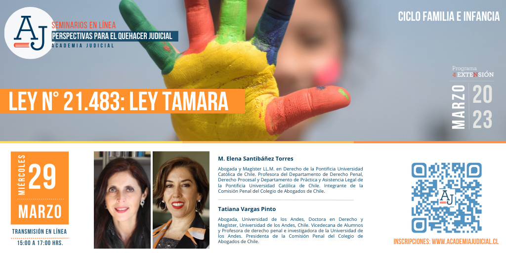 Ley N° 21.483: «Ley Tamara» / María Elena Santibáñez y Tatiana Vargas / Penal