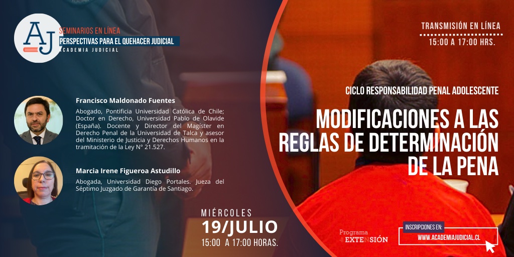 Modificaciones a las reglas de determinación de la pena / Francisco Maldonado, Marcia Figueroa / Penal